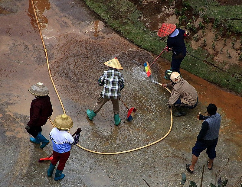 840【不老松：海南游摄纪实】临高长島兰湾二期九栋绿化全过程！[04]