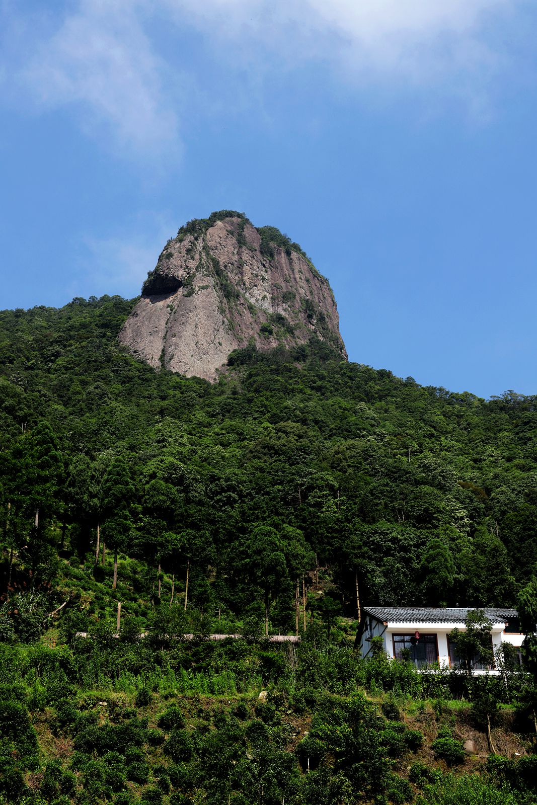 雁荡山大龙湫景区(3)