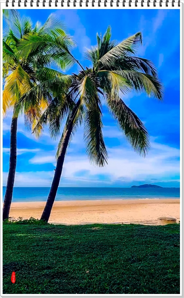 2022年海南岛抓拍-58