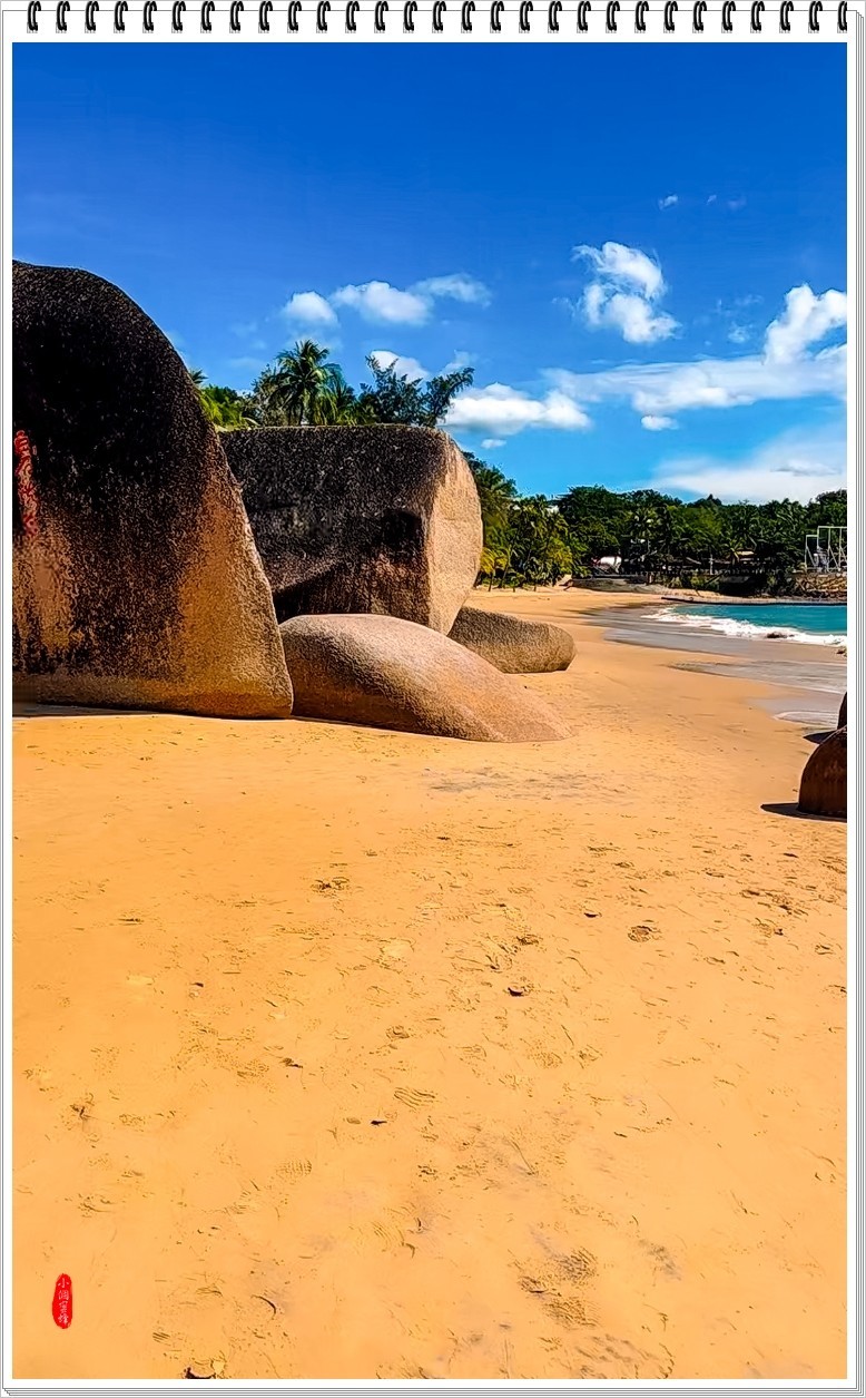 2022年海南岛抓拍-58