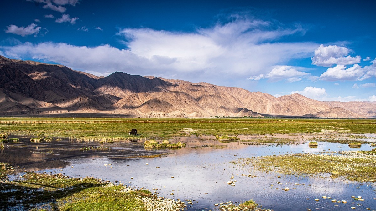 帕米尔高原【18】--金草滩湿地