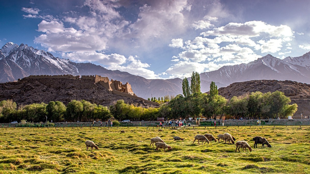 帕米尔高原【18】--金草滩湿地