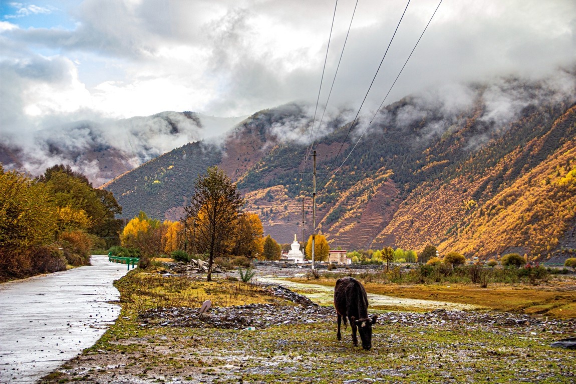 秋行川西高原--日头村【3】