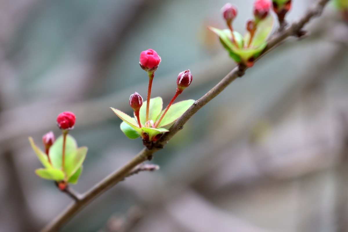 R10换R7，18-150套头试拍（高感还能接受）