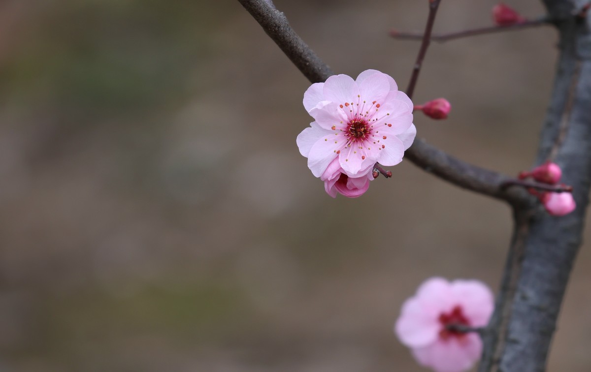 R10换R7，18-150套头试拍