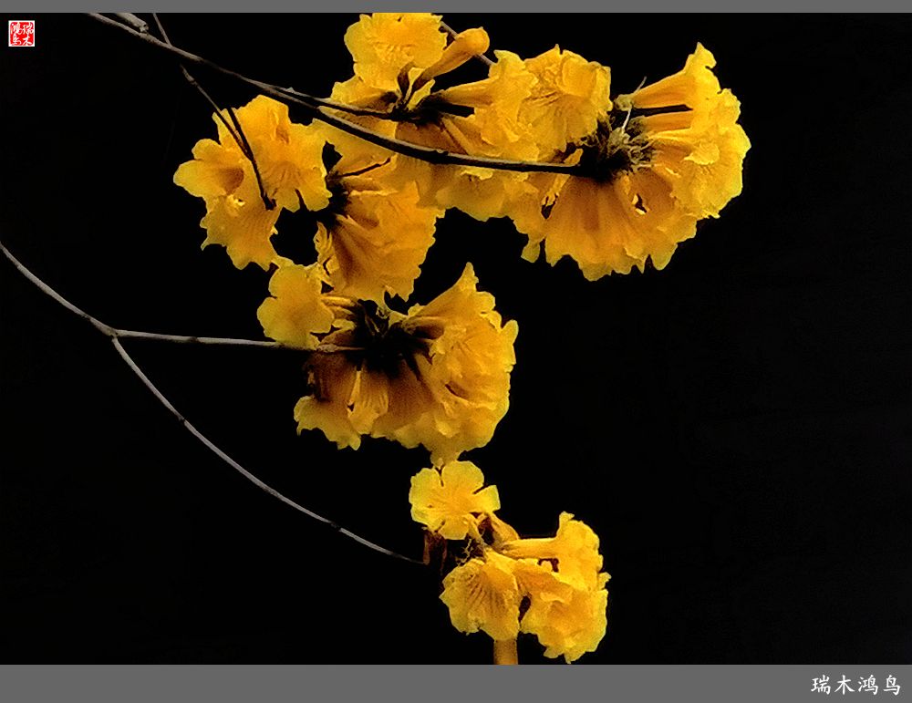 【印象潮汕】2.二月二龙抬头，一不小心到潮州