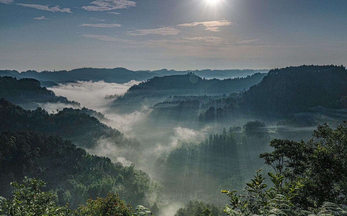四川威远骑龙坳---晨雾【9】