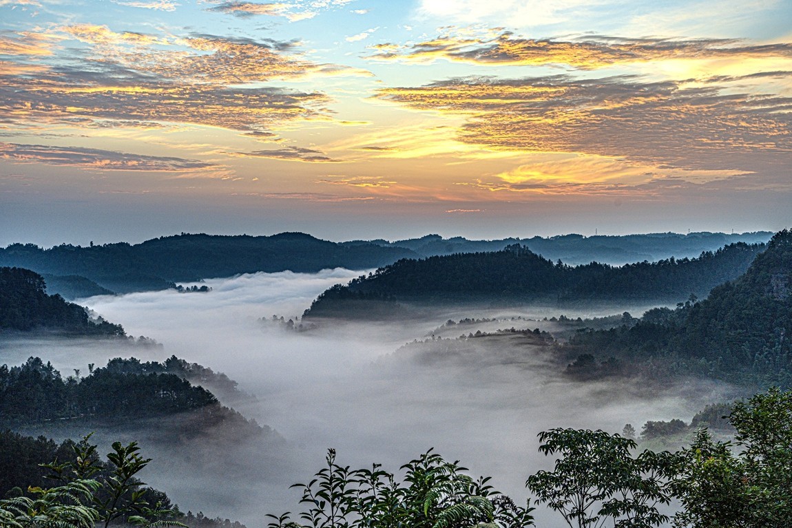 四川威远骑龙坳---晨雾【9】