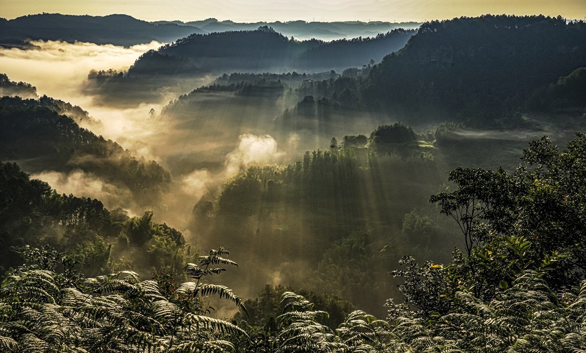 四川威远骑龙坳---晨雾【9】