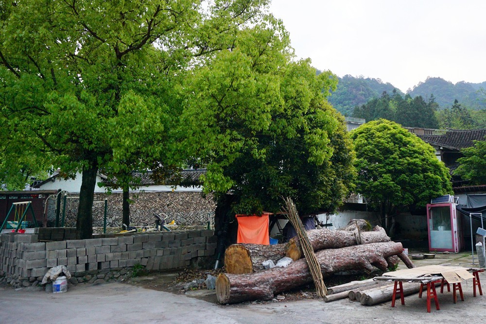 春游楠溪江-食宿岩上村（六）