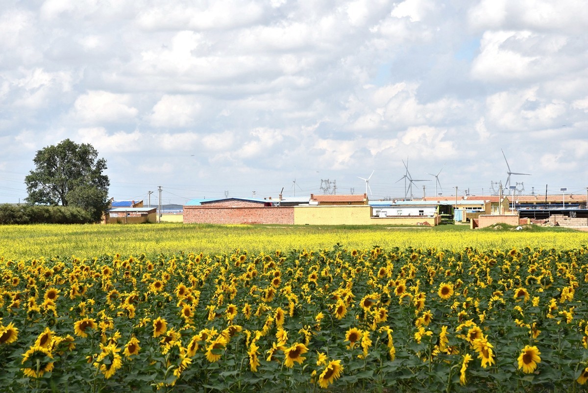 八月，内蒙【7】