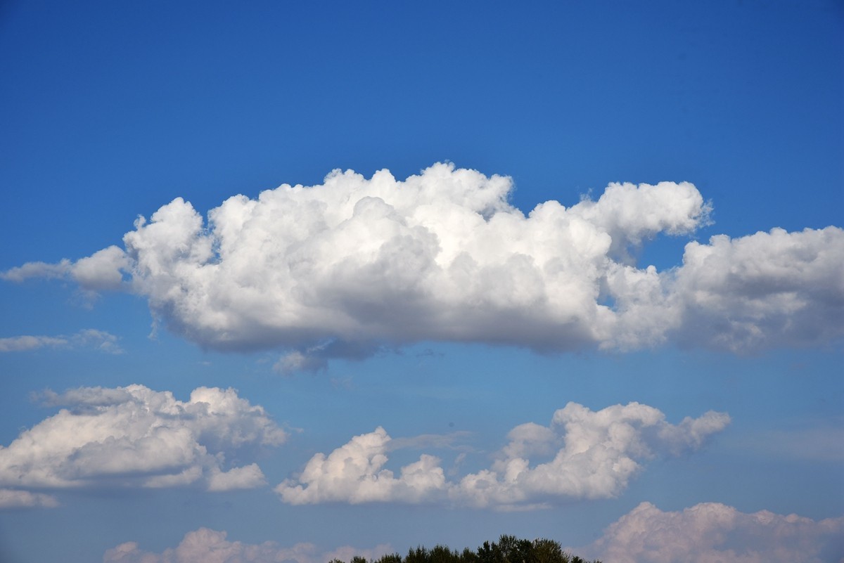 八月，内蒙【7】