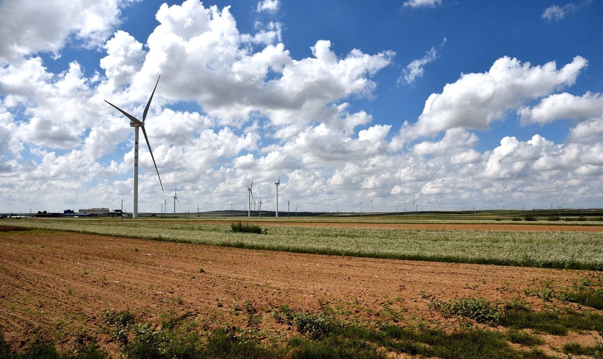 八月，内蒙【7】