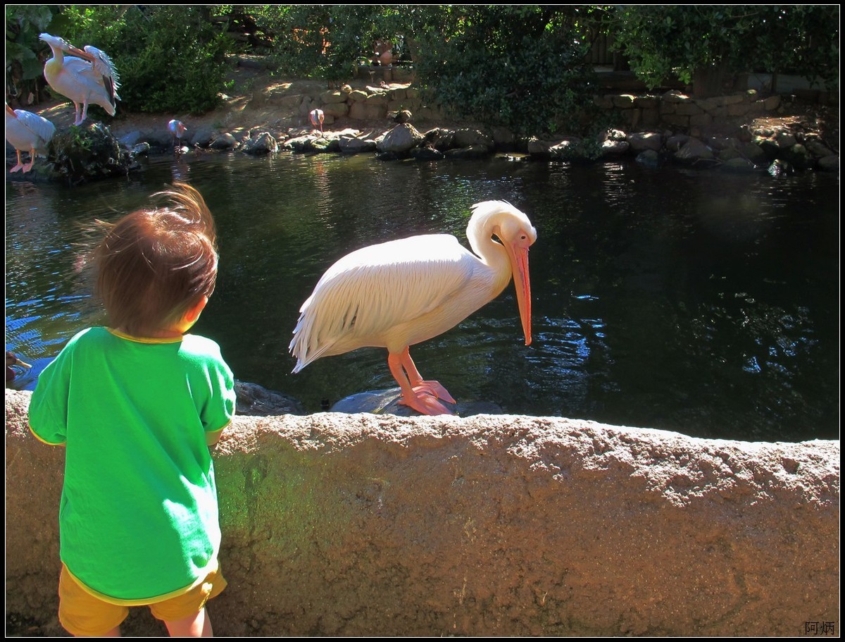 旅游随拍  神户室内动物园