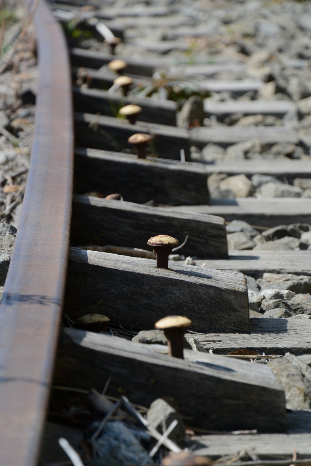 十年前的那些回忆（壹）