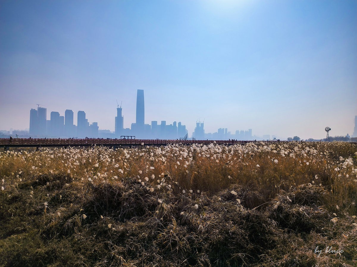 武汉游记————汉口江滩