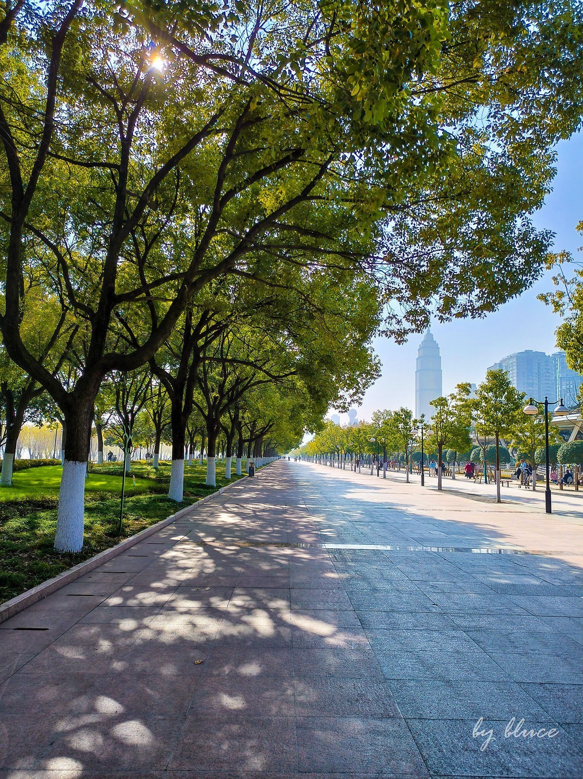 武汉游记————汉口江滩