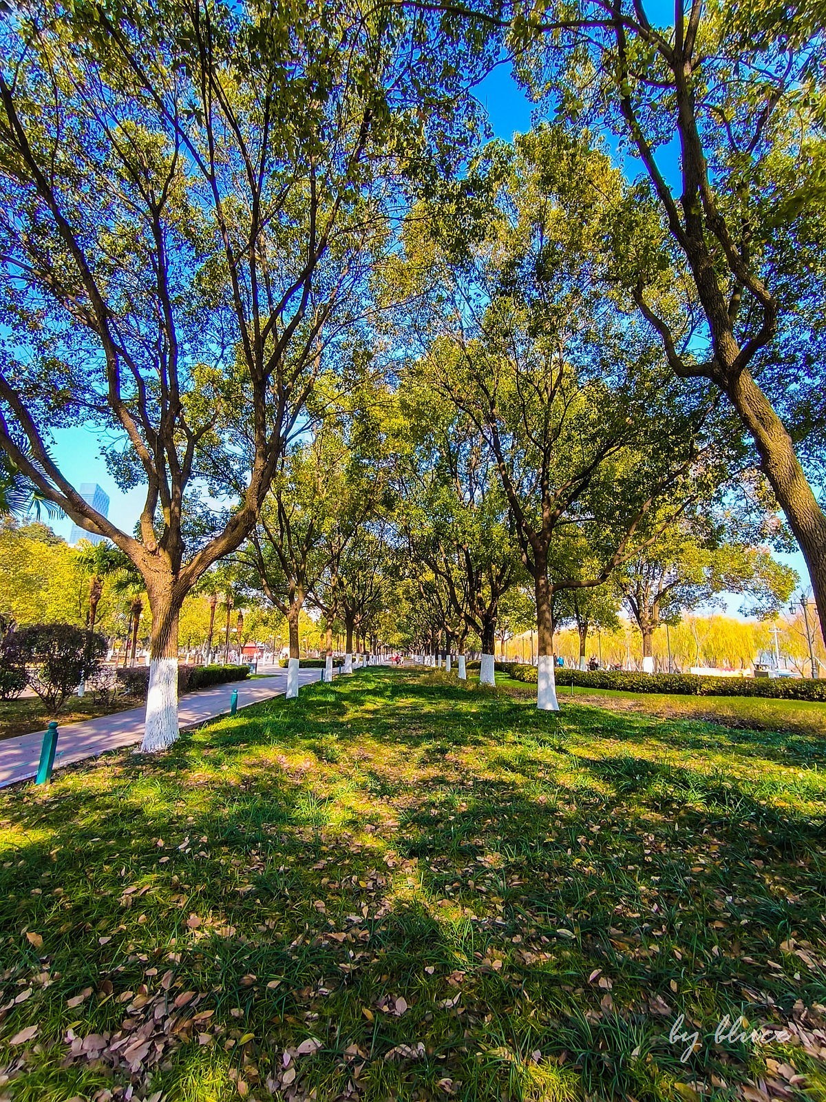 武汉游记————汉口江滩