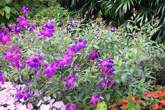 北上广深行·随拍