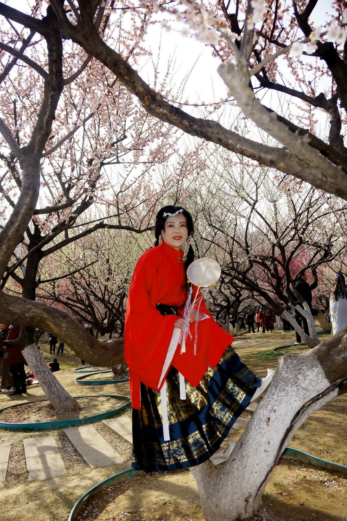 阳春三月赏春！