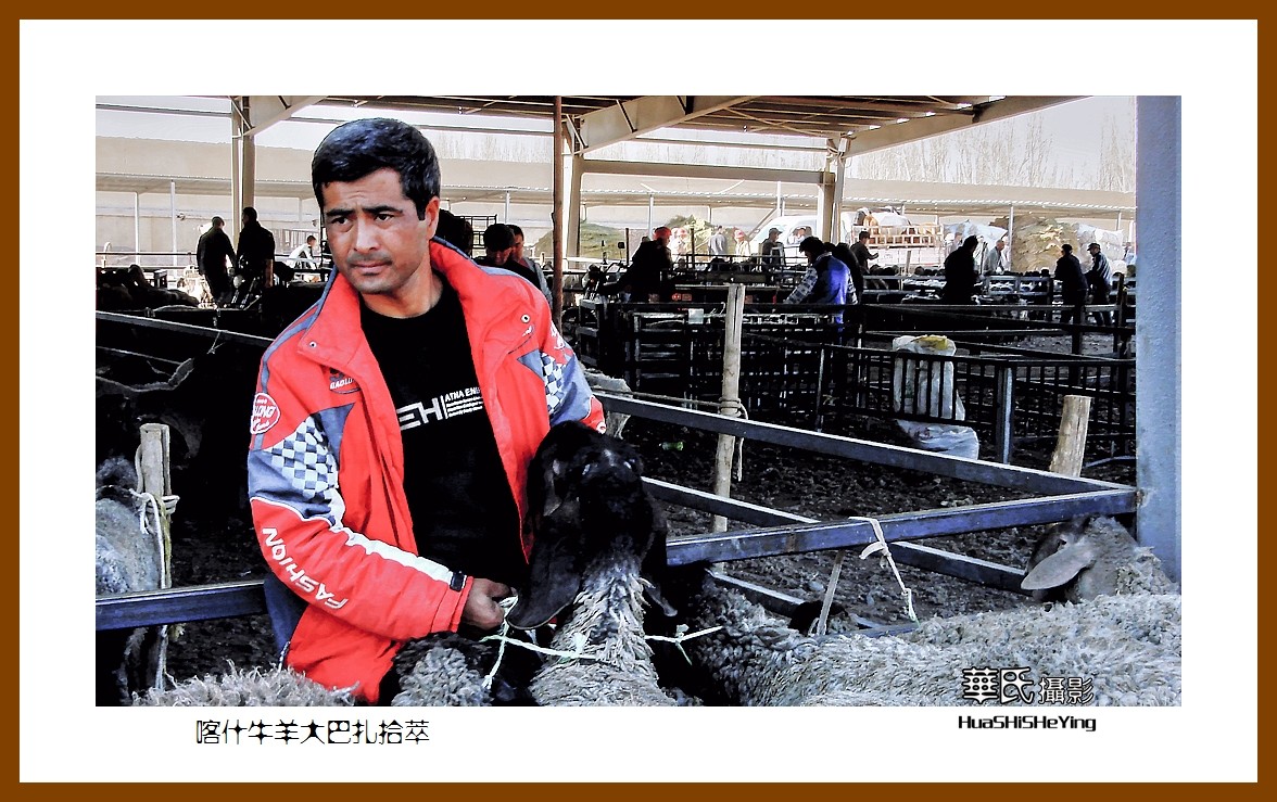 2023西行游记（新疆074）—牛羊大巴扎交易拾萃（喀什）