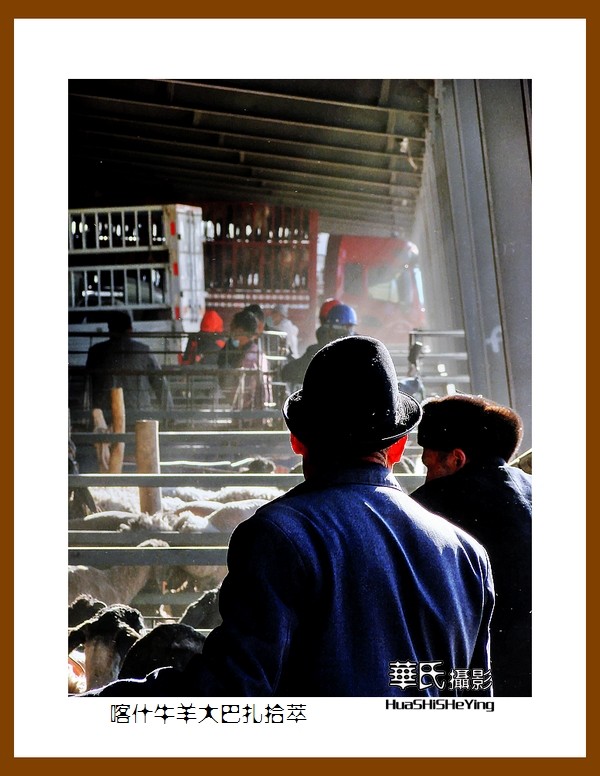 2023西行游记（新疆074）—牛羊大巴扎交易拾萃（喀什）