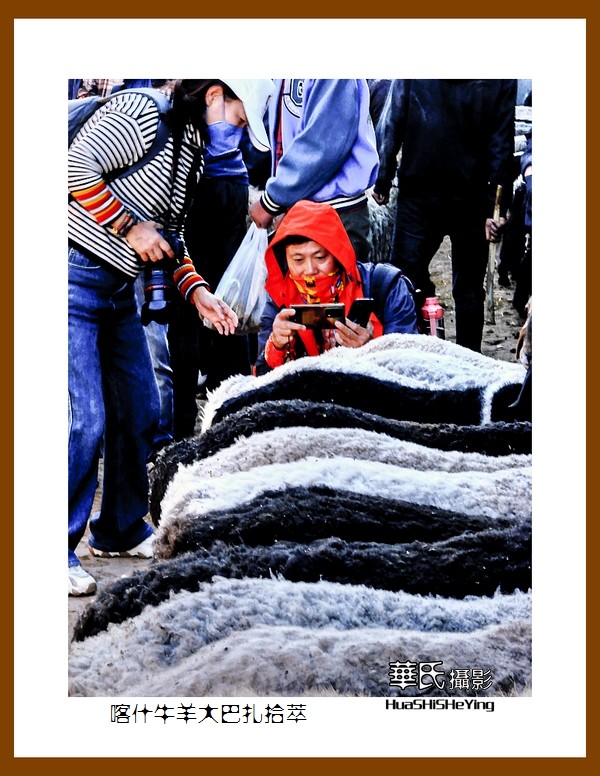 2023西行游记（新疆074）—牛羊大巴扎交易拾萃（喀什）