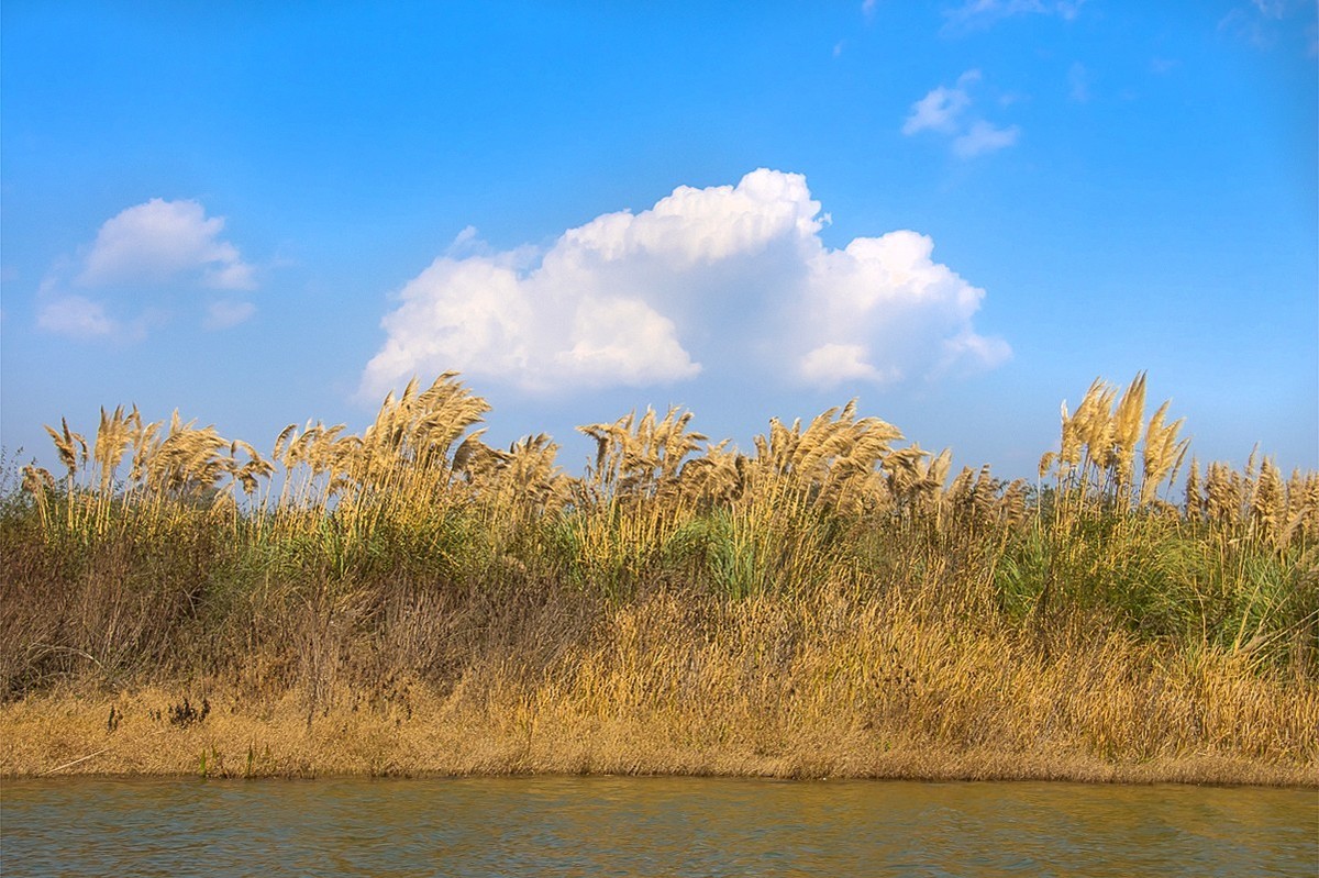 2025-04-20云南普者黑浪漫广场