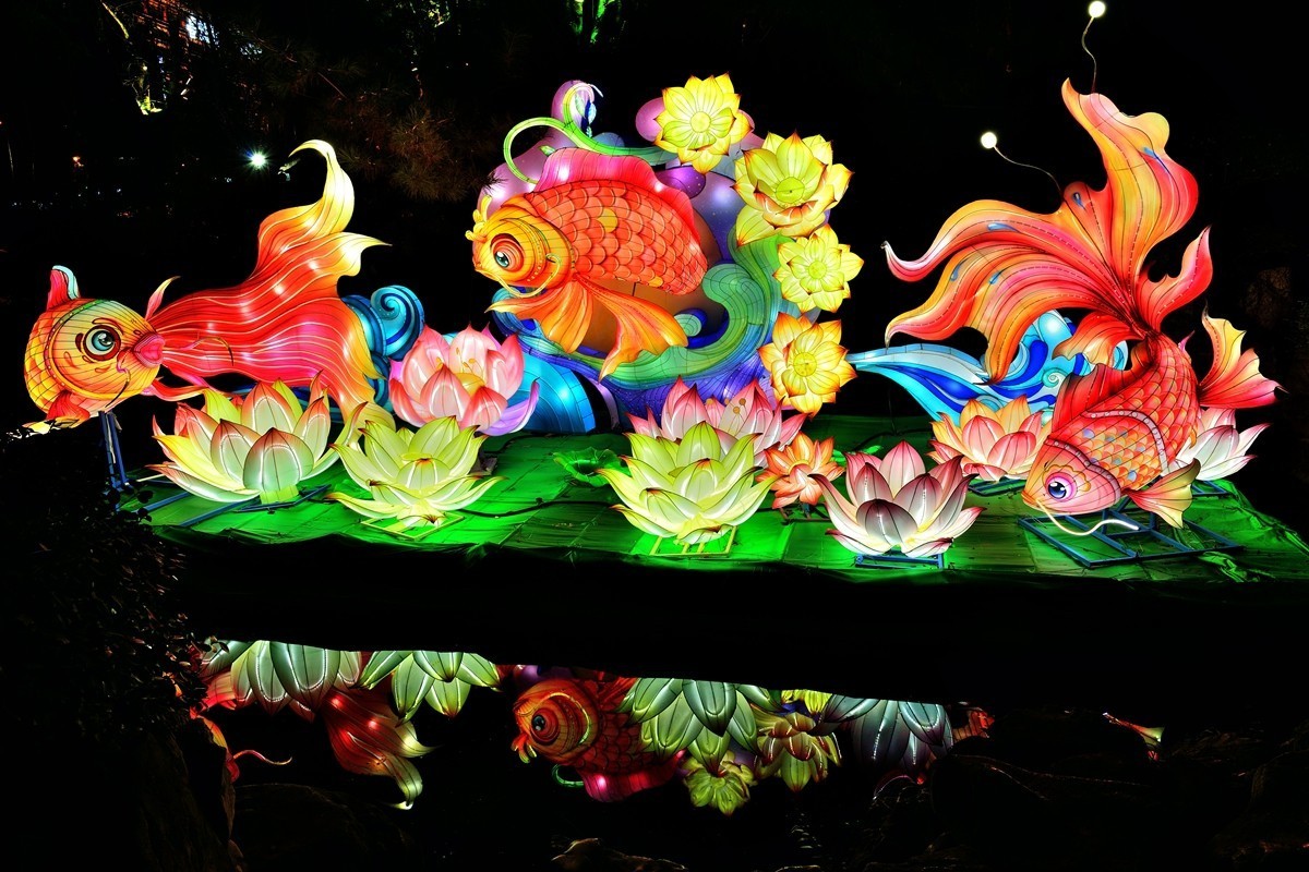 【视觉光影】泉 城 灯 会 （2）