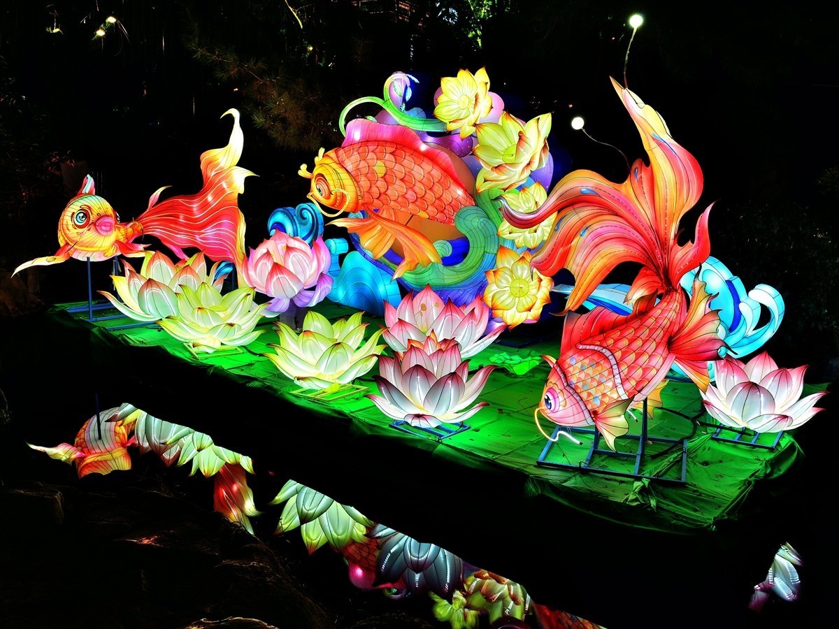 【视觉光影】泉 城 灯 会 （2）