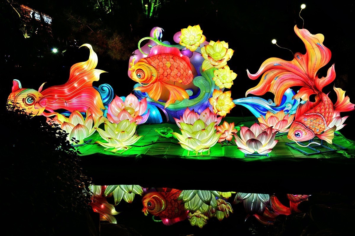 【视觉光影】泉 城 灯 会 （2）