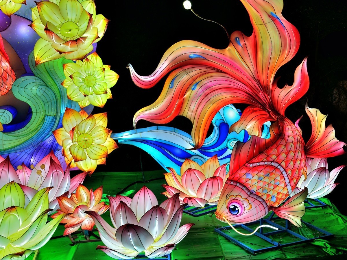 【视觉光影】泉 城 灯 会 （2）