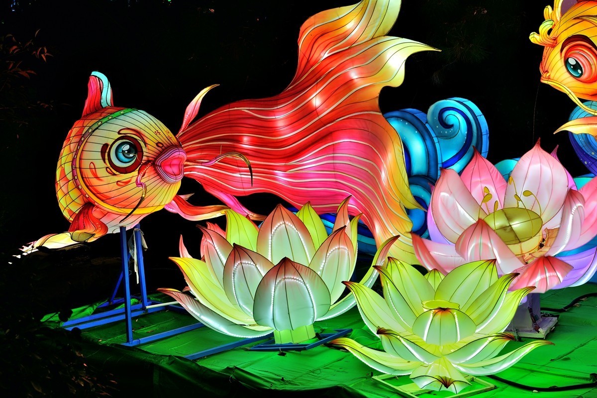 【视觉光影】泉 城 灯 会 （2）