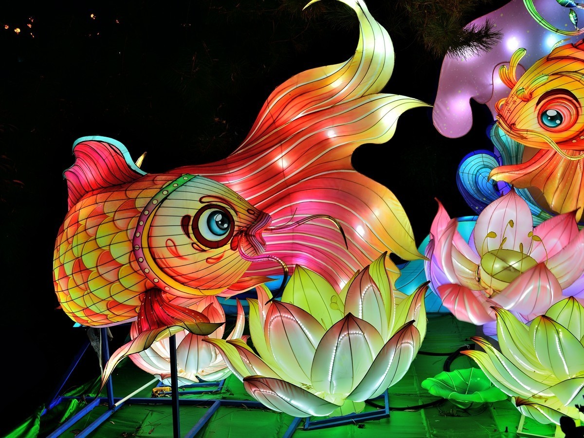 【视觉光影】泉 城 灯 会 （2）