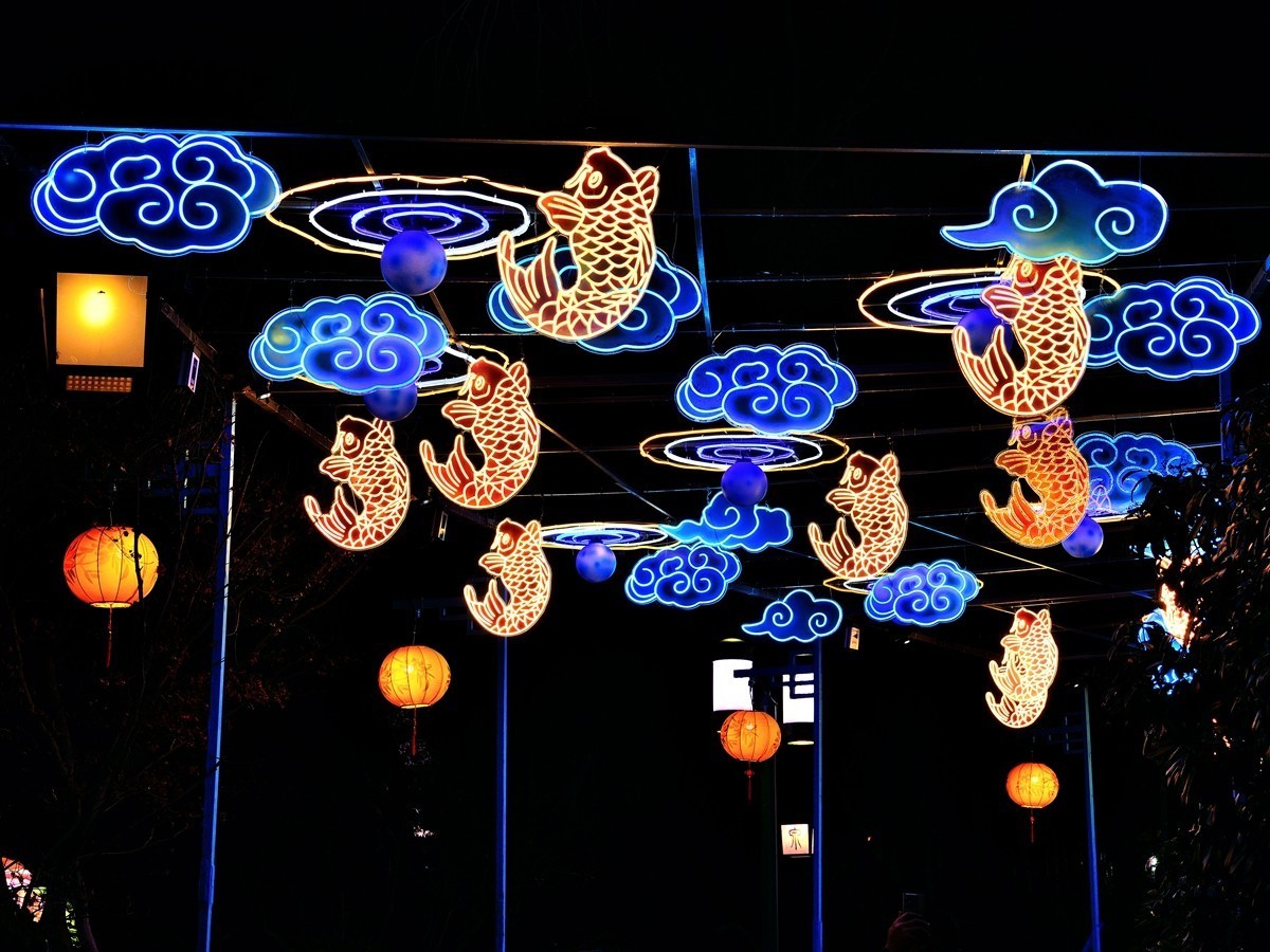 【视觉光影】泉 城 灯 会 （2）