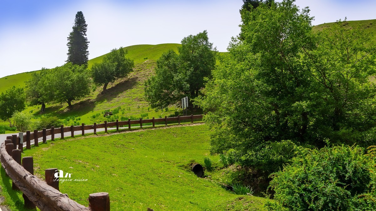 伊犁那拉提（1）