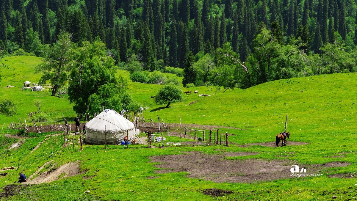 伊犁那拉提（1）