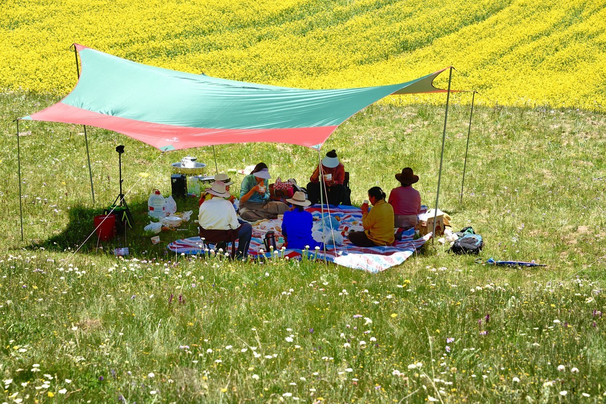 仲夏川北行【6】