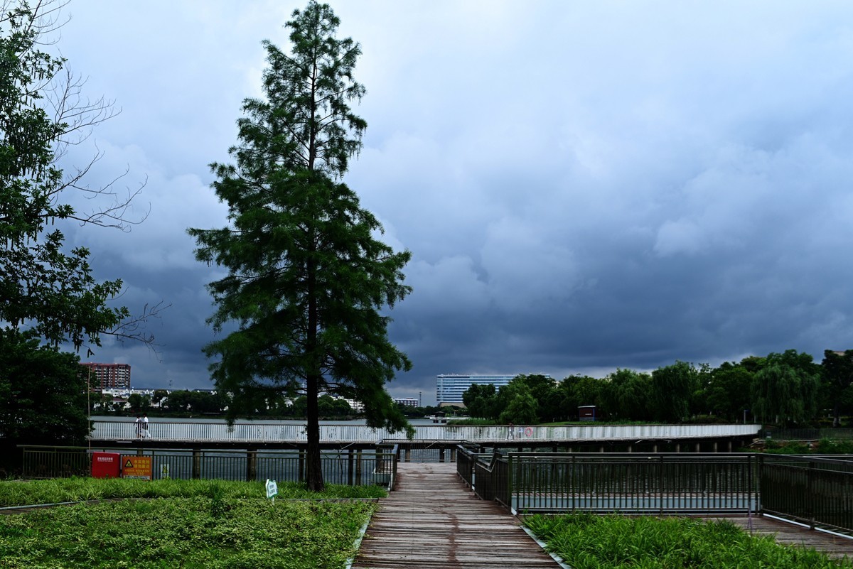 雨后的公园
