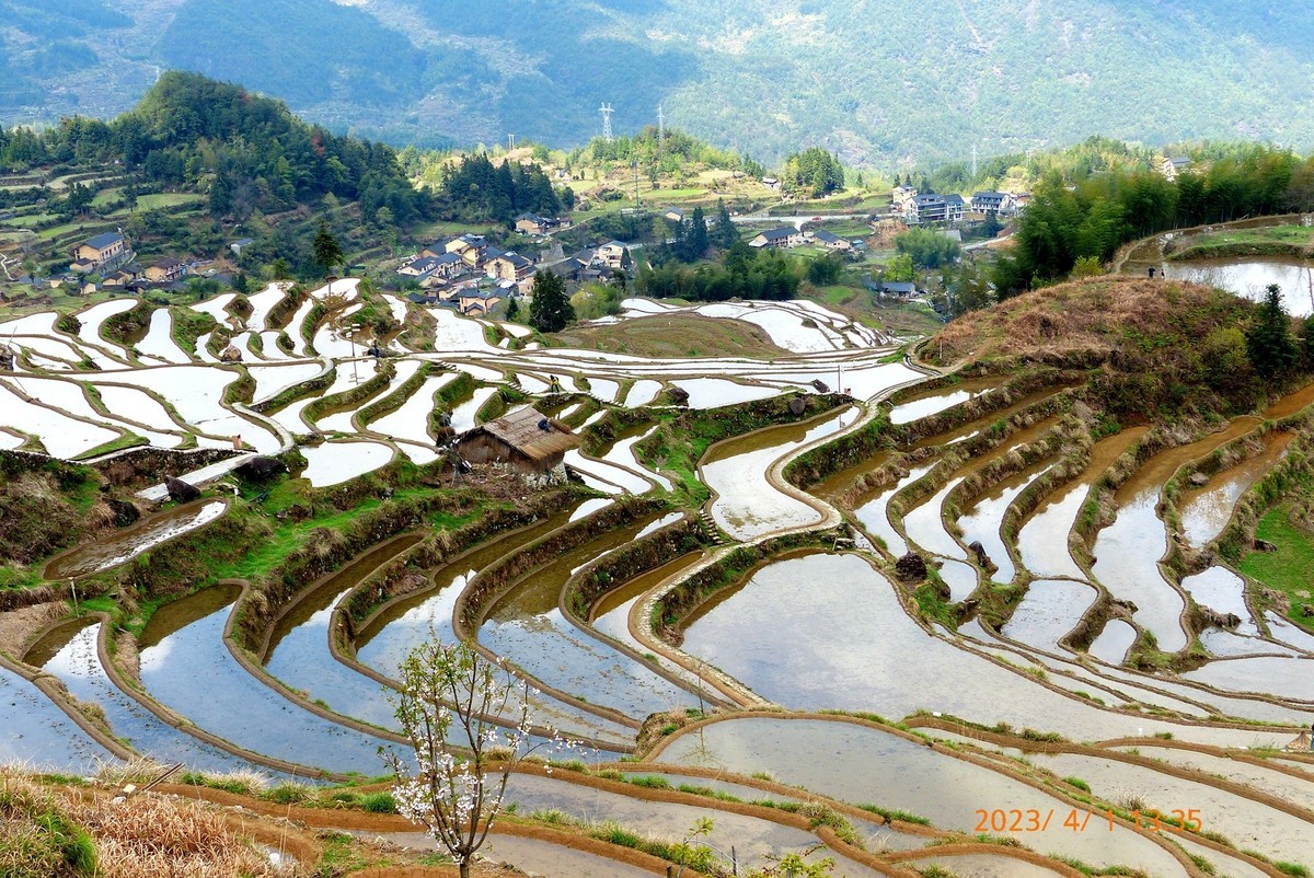 《云和梯田》