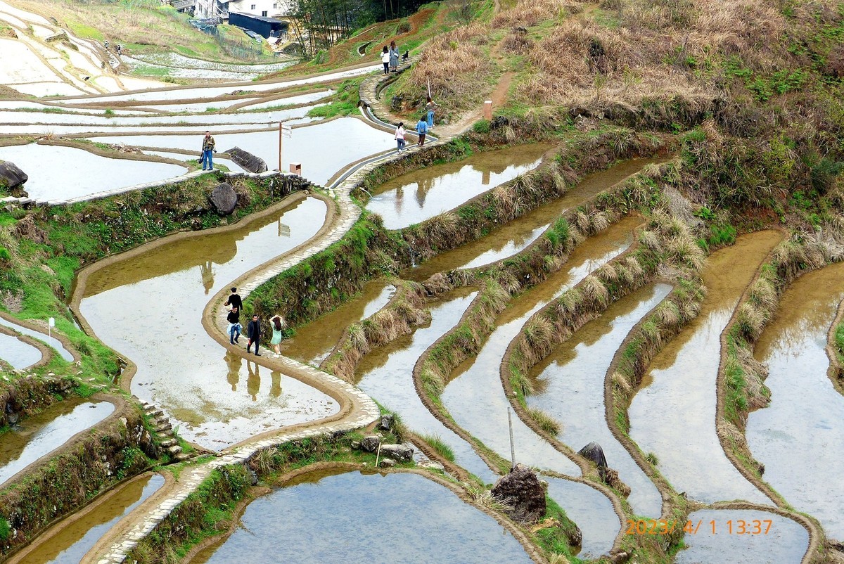 《云和梯田》