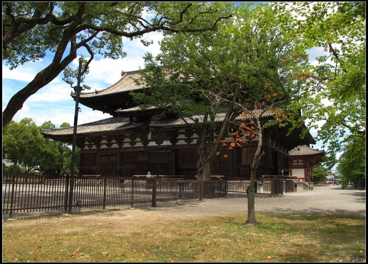 旅游随拍  京都东寺