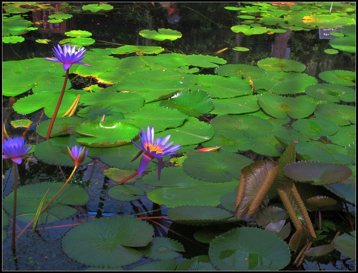 旅游随拍  神户室内动物园