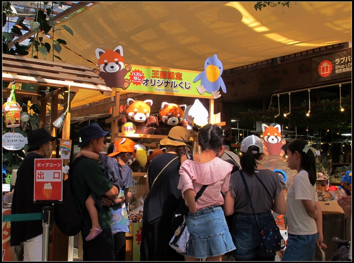 旅游随拍  神户室内动物园