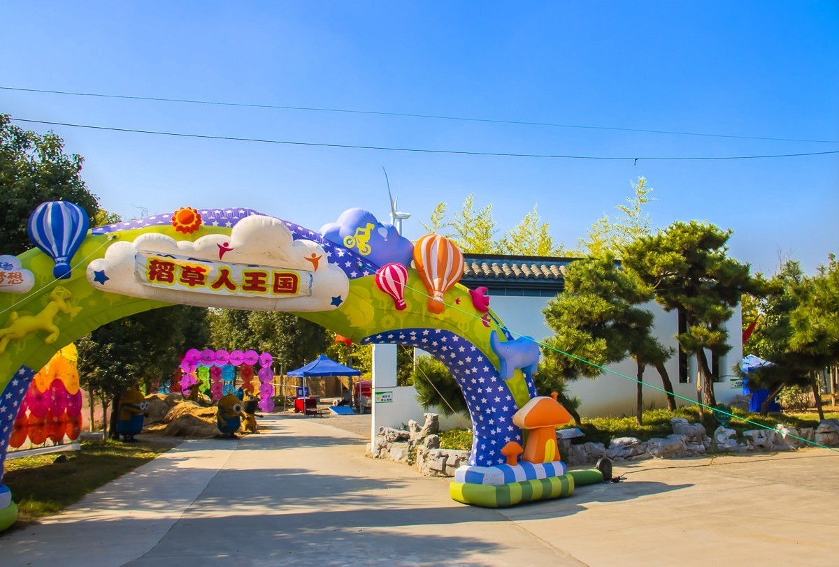 2023-11-26扬州长兴农场粉黛乱子草花海（七）