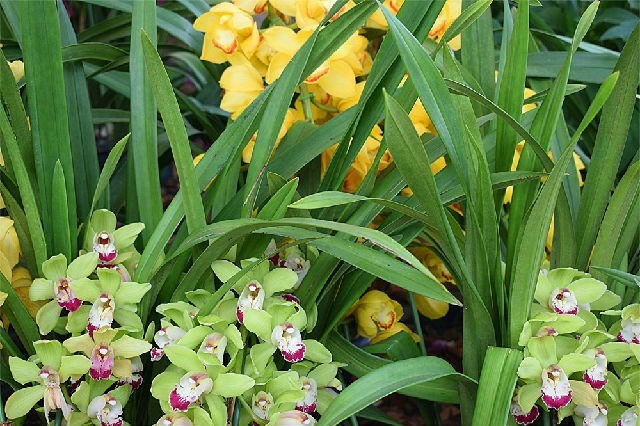 北上广深行·随拍