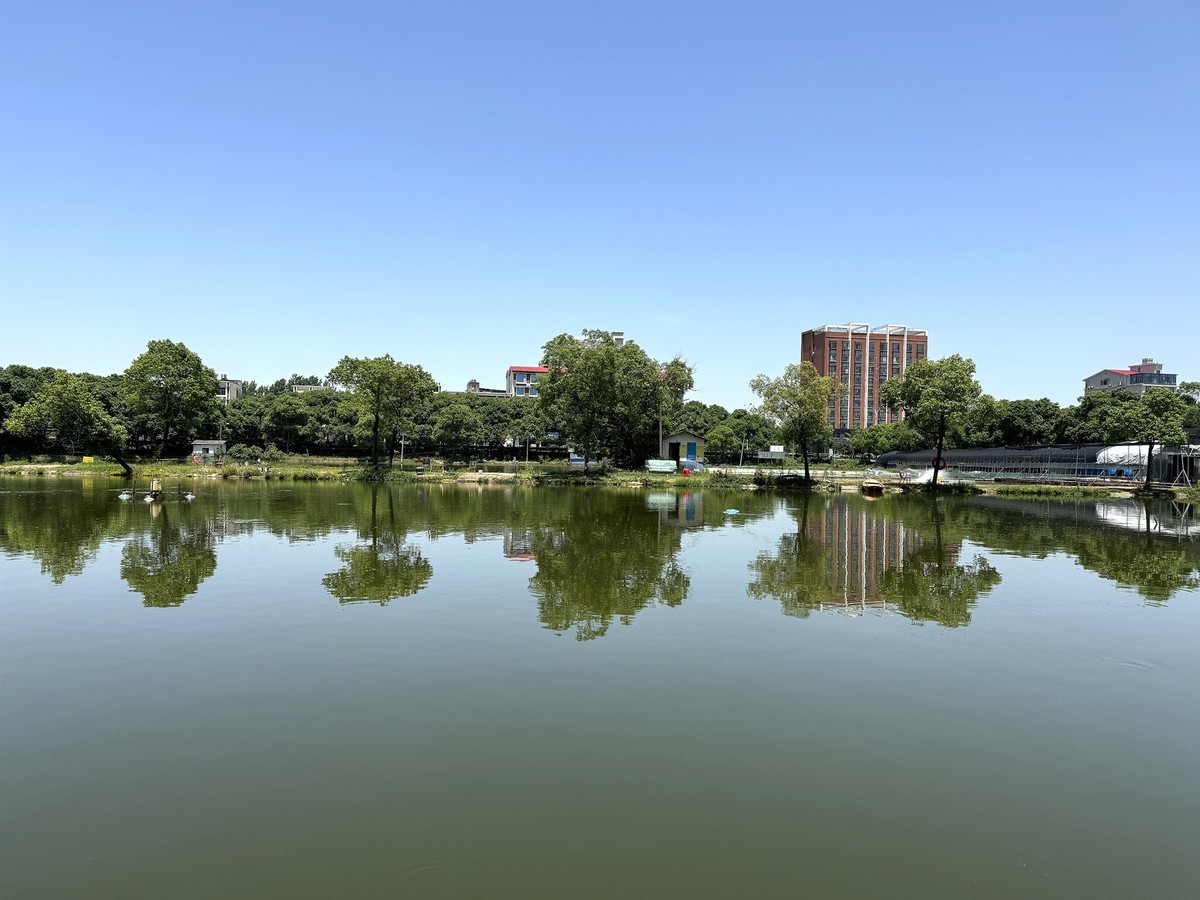 长沙县农庒【手机图】