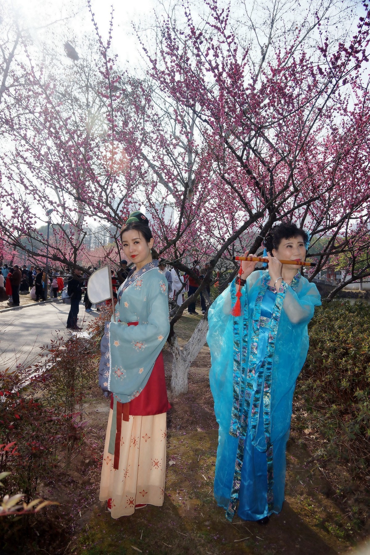 阳春三月赏春！