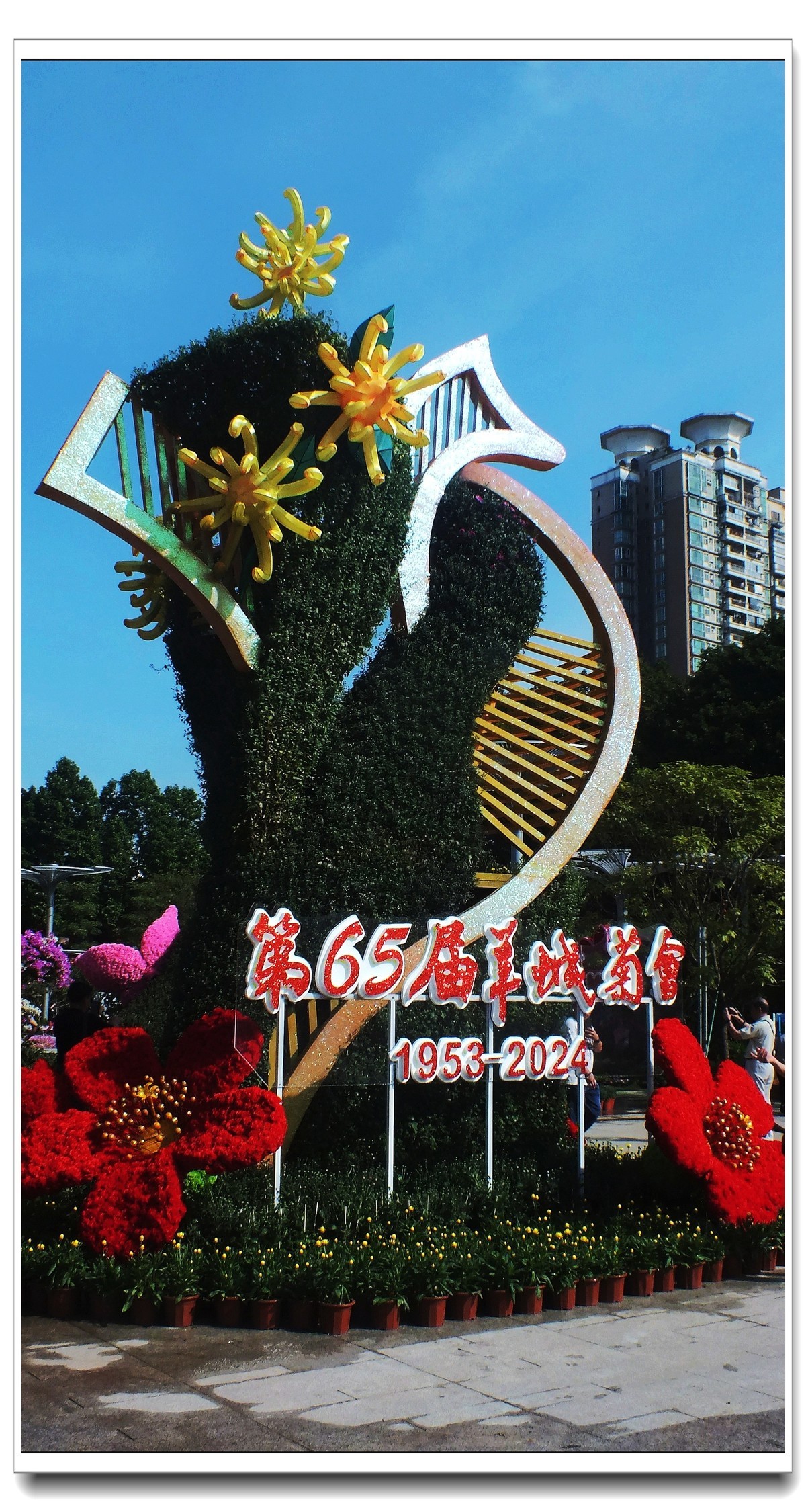 2024.羊城菊展'(预展)