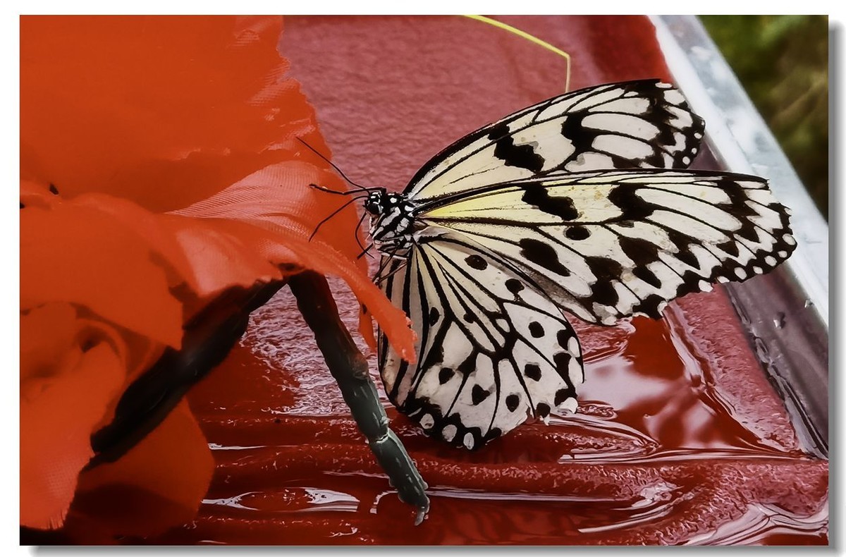 旅途中一一云南印象2